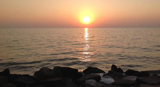 Номер Standard Cherai Onetree Retreat