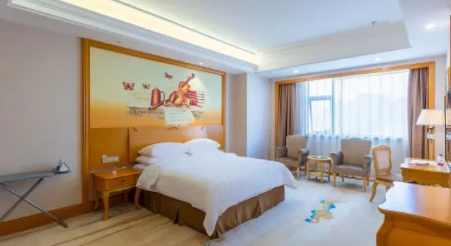 Люкс Deluxe Vienna International Hotel (Daxin Detian Square)