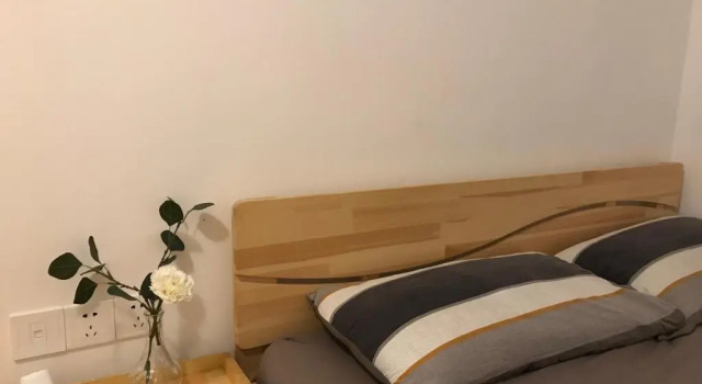 Апартаменты c 1 комнатой Lin Jiang Apartment