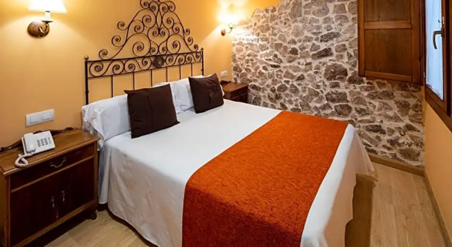 Двухместный номер Economy Hotel Ripoll