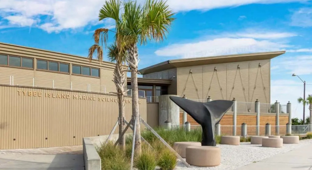 2 soveværelser i lejlighed Lighthouse Point 20B by Tybee Vacation Rentals