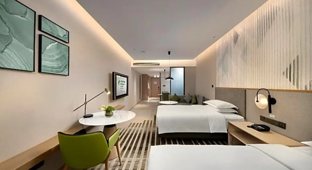Двухместный люкс Holiday Inn & Suites Wuhan International Expo