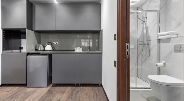Номер Standard Golders Green studios