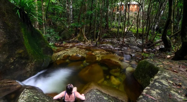 Коттедж с 2 комнатами Daintree Cascades