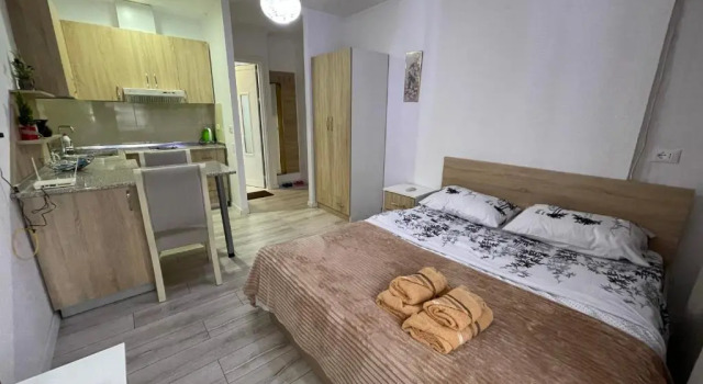 Downtown Modern Studio Apartment