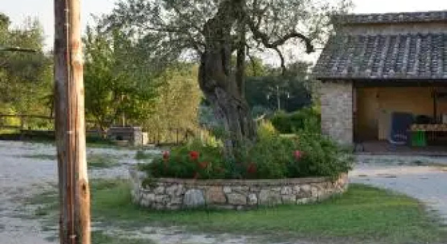 Agriturismo Podere dell' Olmo, Rezervovat Hotel Amelia Umbrie