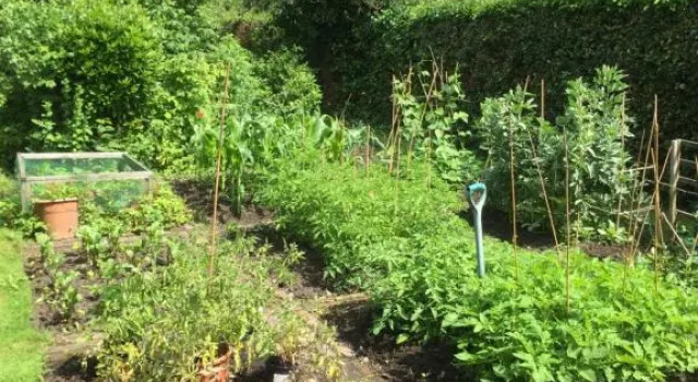 The Orchard in Alne, Prenota Appartamento Tollerton Inghilterra