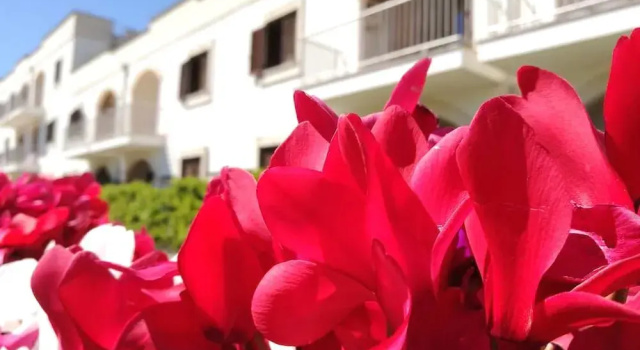 Villaggio Catalano