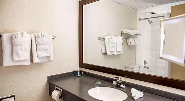 Люкс Wyndham Edmonton Hotel and Conference Centre