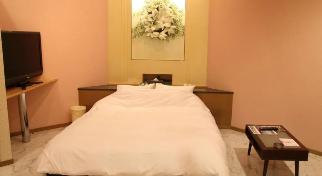 Номер Economy Color Hotel