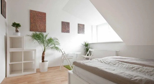 Helles & Freundliches City-Apartment