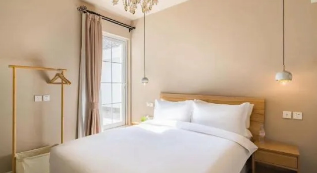 Camera Standard Central Inn