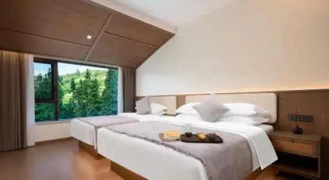 Люкс Wudangshan Yun Yin Guan Yue Hotel