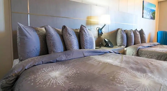 Номер Standard Stay Express Inn Chattanooga
