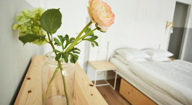Vlnka Apartments, Rezervovat Apartmán Hotely v Trnavský kraj se snídaní, Snídaně