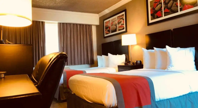 Четырёхместный номер Standard The Lexmar - Dodger Stadium-Convention Center