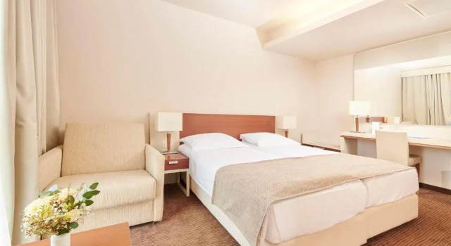 Номер Economy Hotel Albatros Plava Laguna