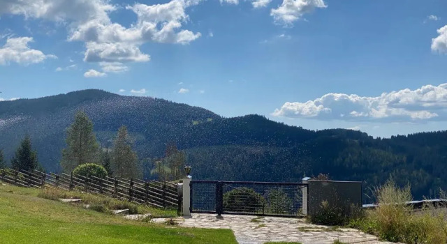 Căsuță Berghutte Waldheimat