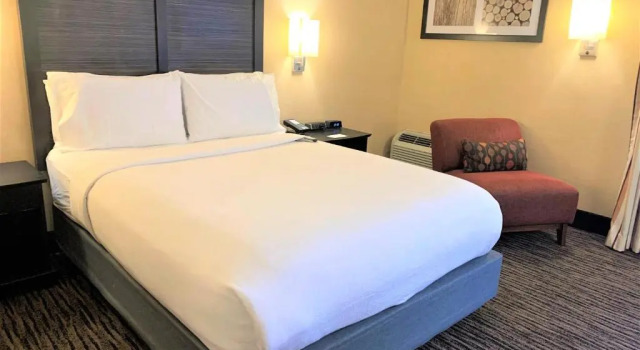 Run of House Holiday Inn Dublin - Pleasanton by IHG