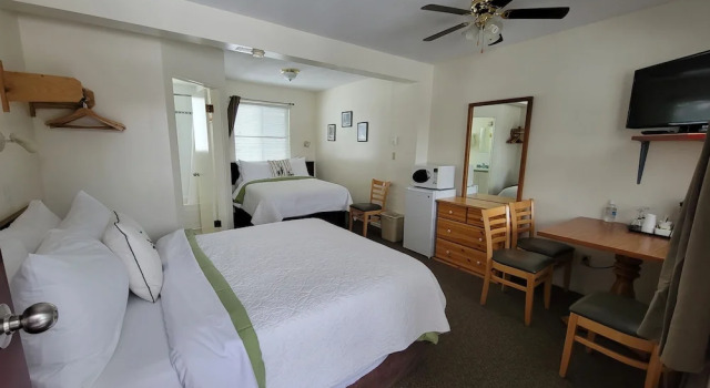 Номер Deluxe Mountain Springs Motel