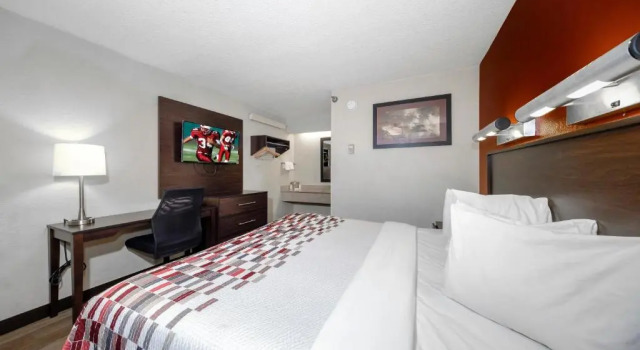 Двухместный номер Standard Red Roof Inn Tampa - Brandon