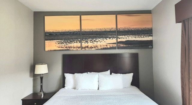 Super 8 Kemah, Boek Hotel Kemah Houston