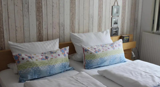 Номер Economy Aparthotel-Harleblick