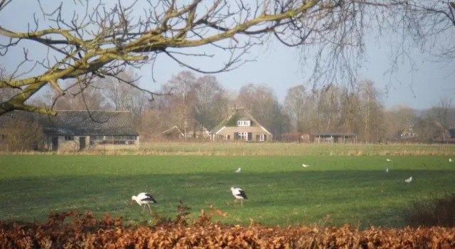 B&B De Eefdese Enk, Varaa Bed and Breakfast Hotellit Gelderland aamiaisella, Aamiainen