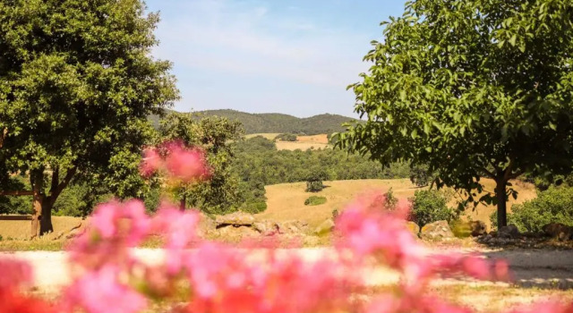 Трёхместный номер Standard Agriturismo Il Quarto