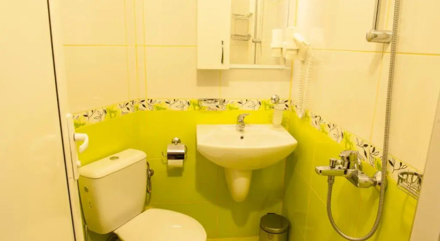 Двухместный номер Standard с балконом Family Hotel Balkanci