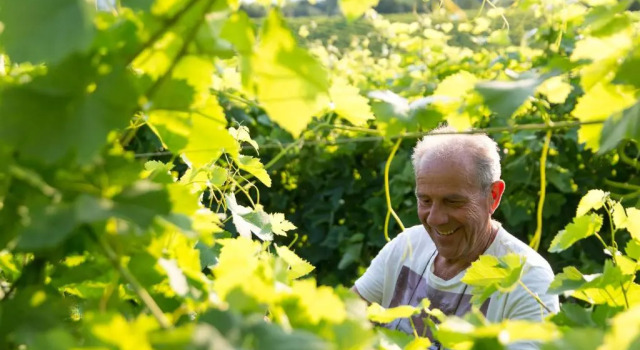 Appartamento Villa Prosecco