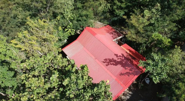 Коттедж c 1 комнатой Les bungalows du château dÔ