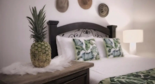 Juniorsuite Tropica Hotel Boutique - Hostel