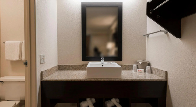 Четырёхместный номер Standard Red Roof Inn PLUS+ Chicago - Willowbrook
