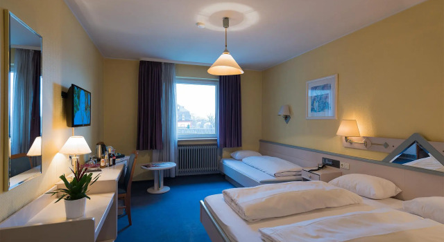 Трёхместный номер Standard Tagungshotel Höchster Hof
