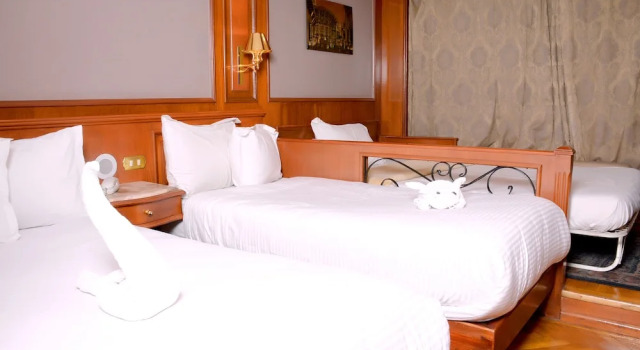 Одноместный номер Deluxe Nile Cruise Luxor Aswan 3,4 and 7 nights
