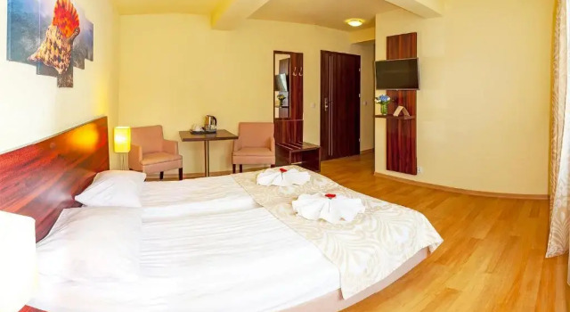 Standard Zimmer D.N. Center