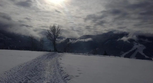 Шале Chalet Winterbauer