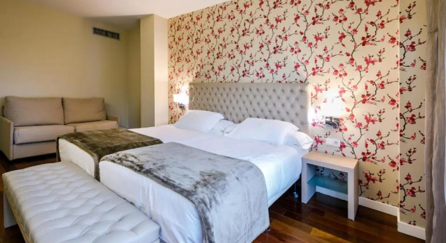 Двухместный номер Superior U-Hotel Spa Ciudad de Astorga