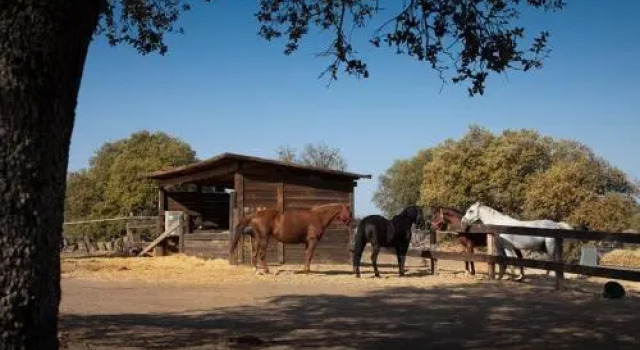 Lantero Horse & Lodge, Забронировать Отель Сан-Роман Toledo Province