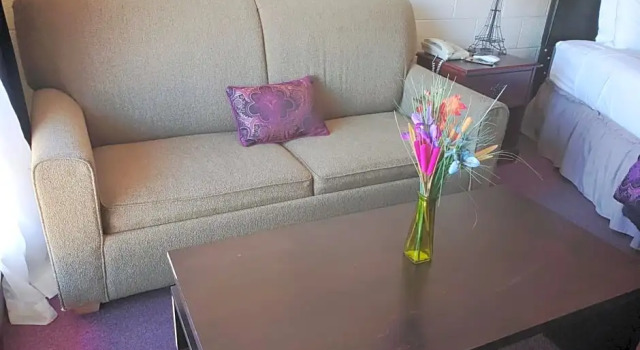 Двухместный люкс Midtown Inn & Suites