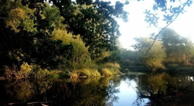 Frome Lodge House, Забронировать Отель Отели Англии 3 звезды, 3*
