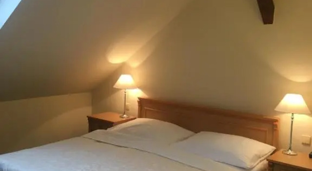 Номер Standard Zamecky Hotel Lednice