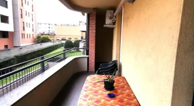 Pisco Home