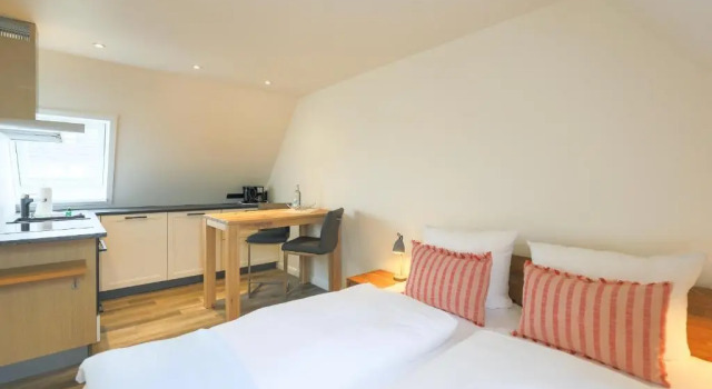 Апартаменты Appartement Friesländer