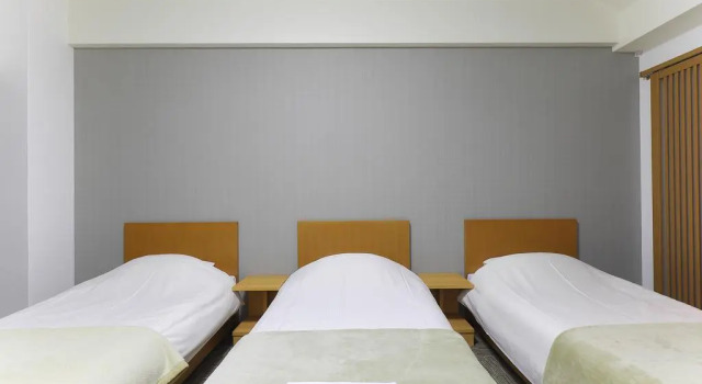 Meldia Hotel Kyoto Nijo