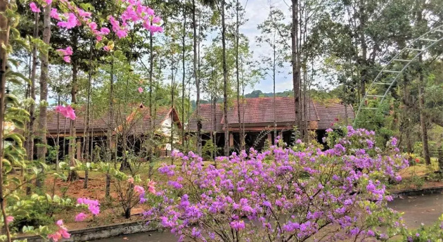 Семейный номер Standard с видом на сад The Garden House Phu Quoc Resort