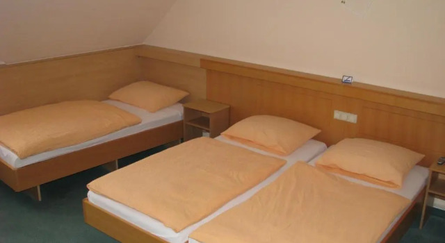 Трёхместный номер Standard Hotel & Restaurant Zur Weintraube