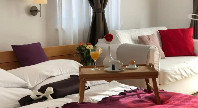 Номер Deluxe Viktoria Lodge Bed and Breakfast