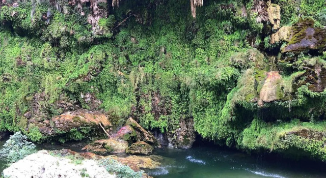 Коттедж Sorrosa casa vacanze bifamiliare in montagna panorama stupendo Sardegna